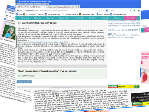 Các[-]bài[-]viết[-]bêu[-]xấu[-]doanh[-]nghiệp[-]trên[-]trang[-]mạng[-]Webtretho.[-]Ảnh:[-]CHÁNH[-]TRUNG